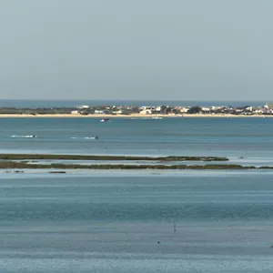 Stork , Olhão Portugal